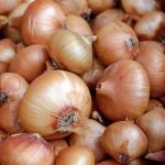 onions 1397037 1280
