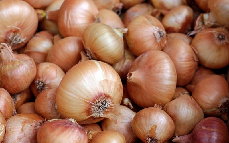 onions 1397037 1280