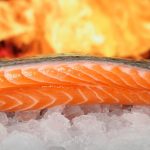 salmon 1238662 1280