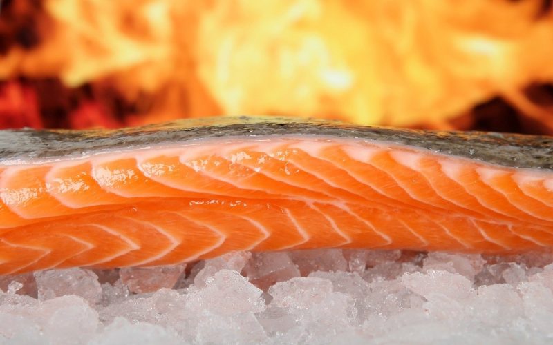 salmon 1238662 1280